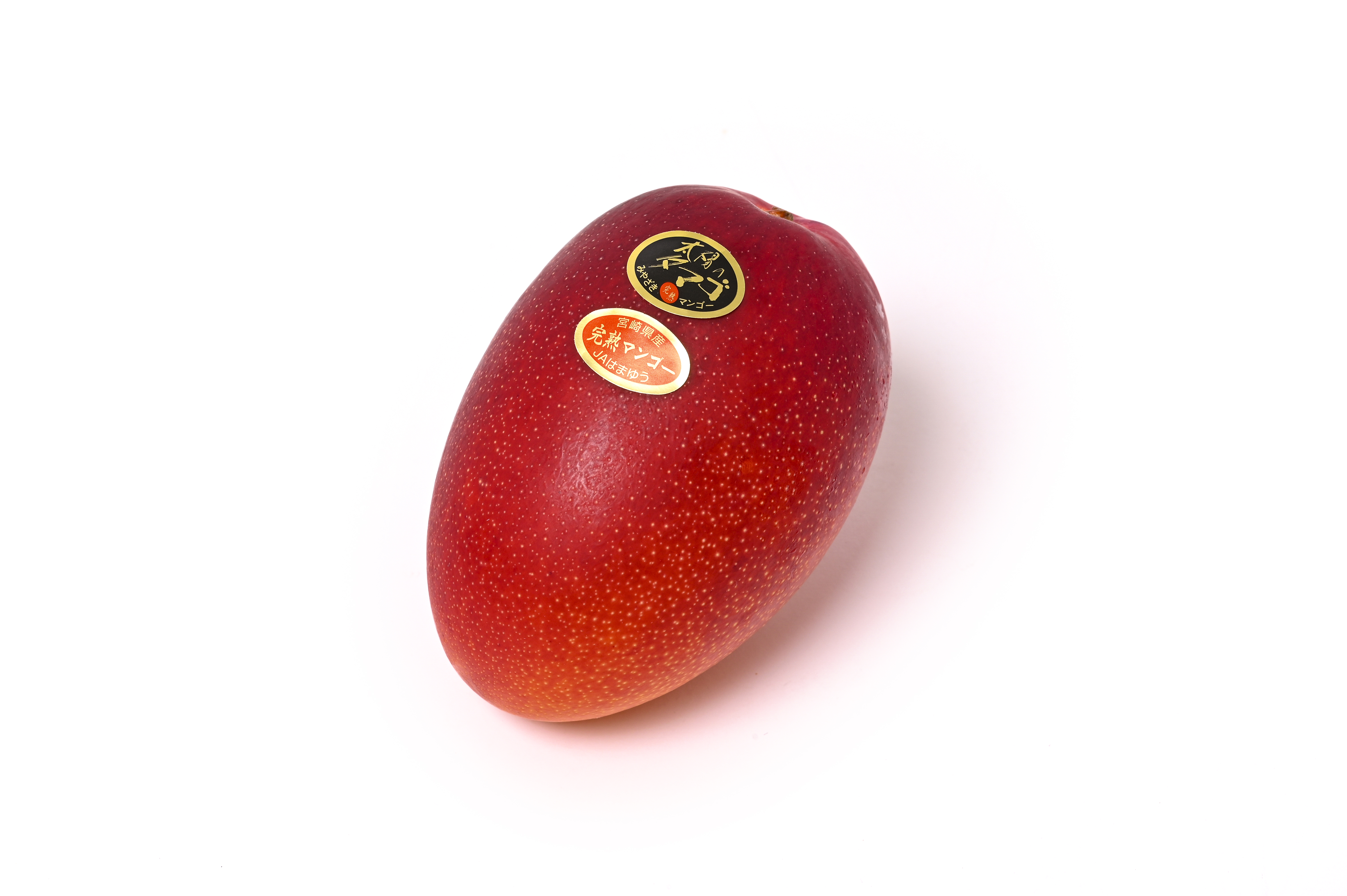 【予約受付中】完熟マンゴー 太陽のタマゴ【2026年4月中旬出荷開始】